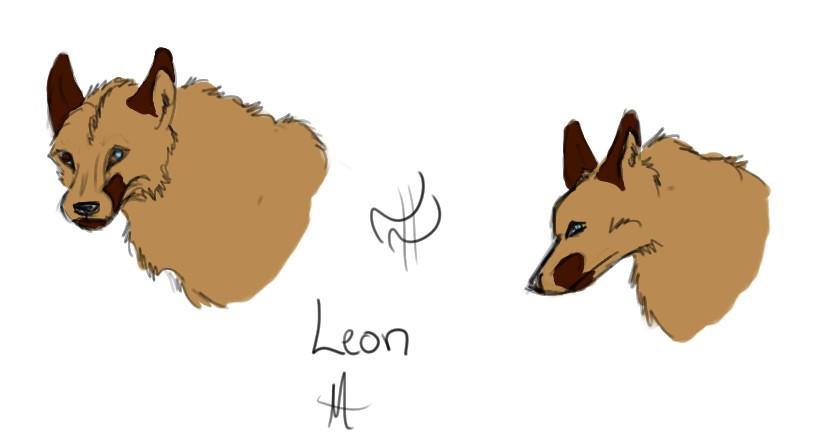 Leon Concept Sheet by MuseCanidae on DeviantArt