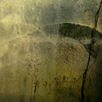 The Sunken Meadow by Versatis