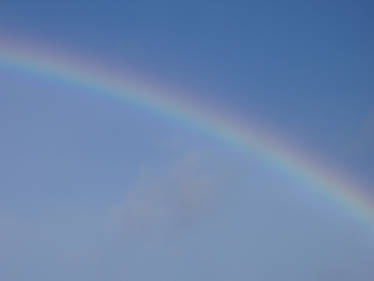 rainbow 4