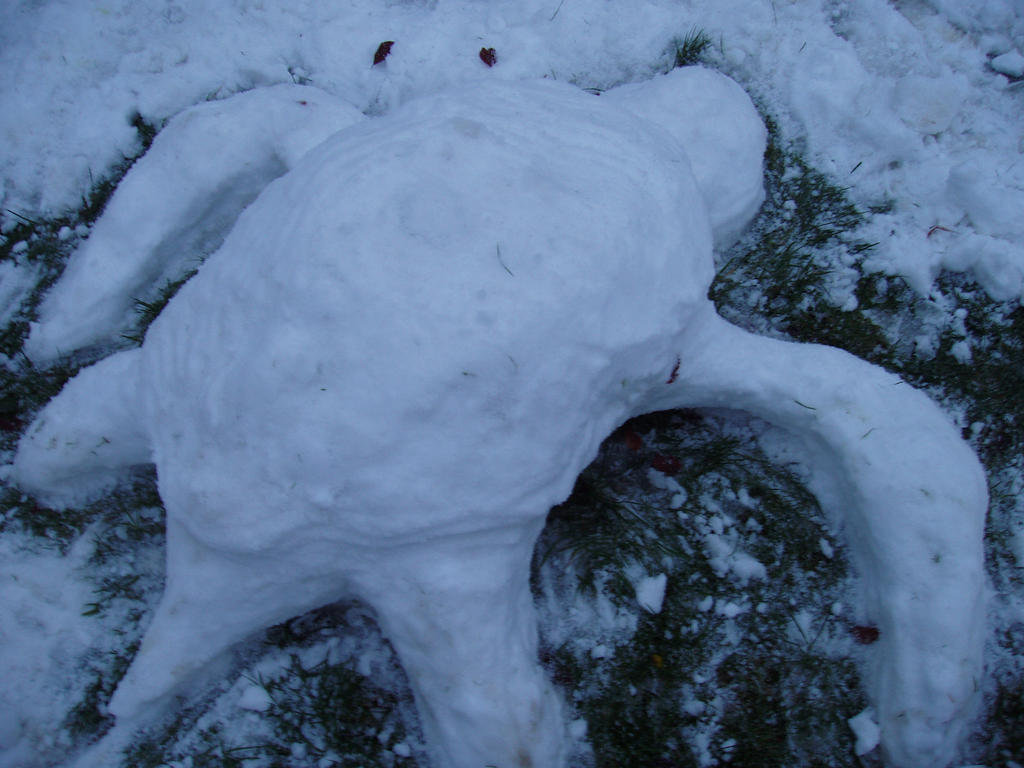 Snow Turtle 3