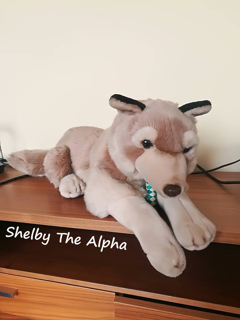 WWF Anna Club big wolf plush by ShelbyTheAlpha on DeviantArt WWF Anna Club big wolf plush by ShelbyTheAlpha on DeviantArt