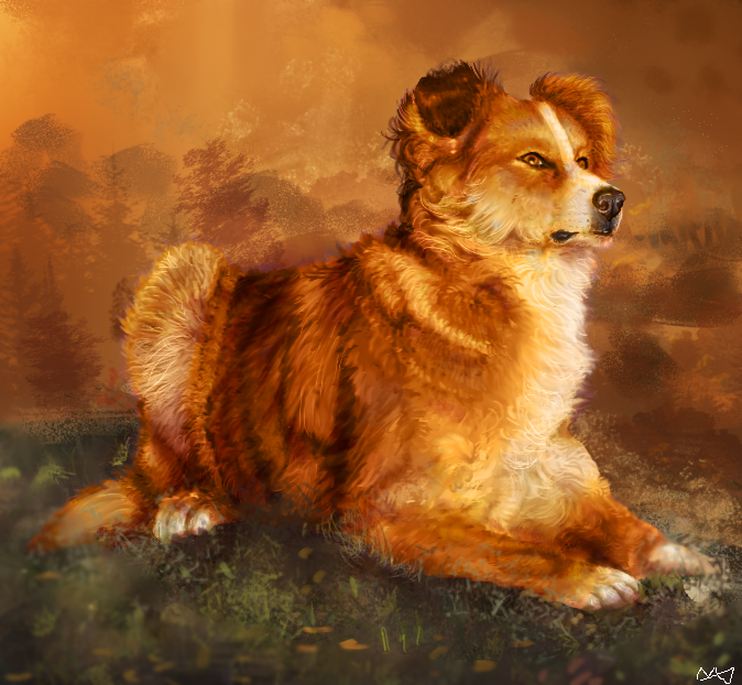 Dog portrait practice