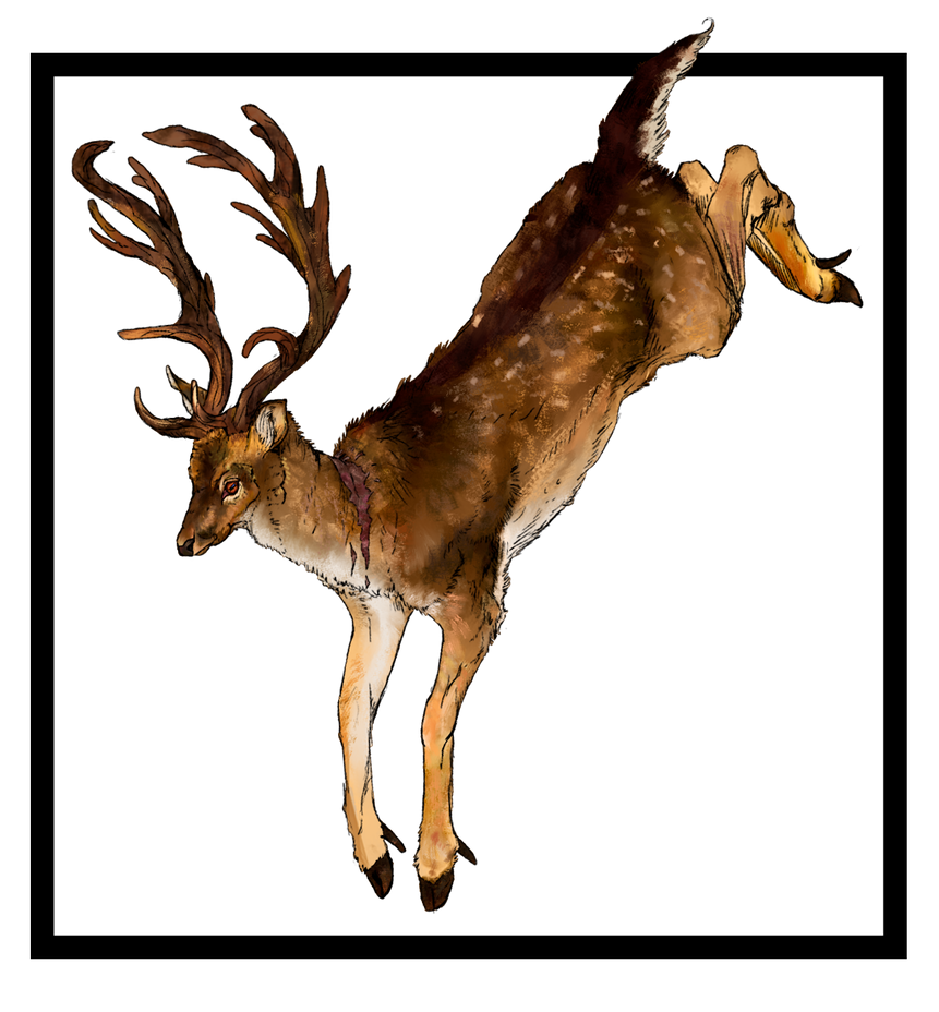 Deviantart Animal Jumping Deer Jumping by Okardare on DeviantArt