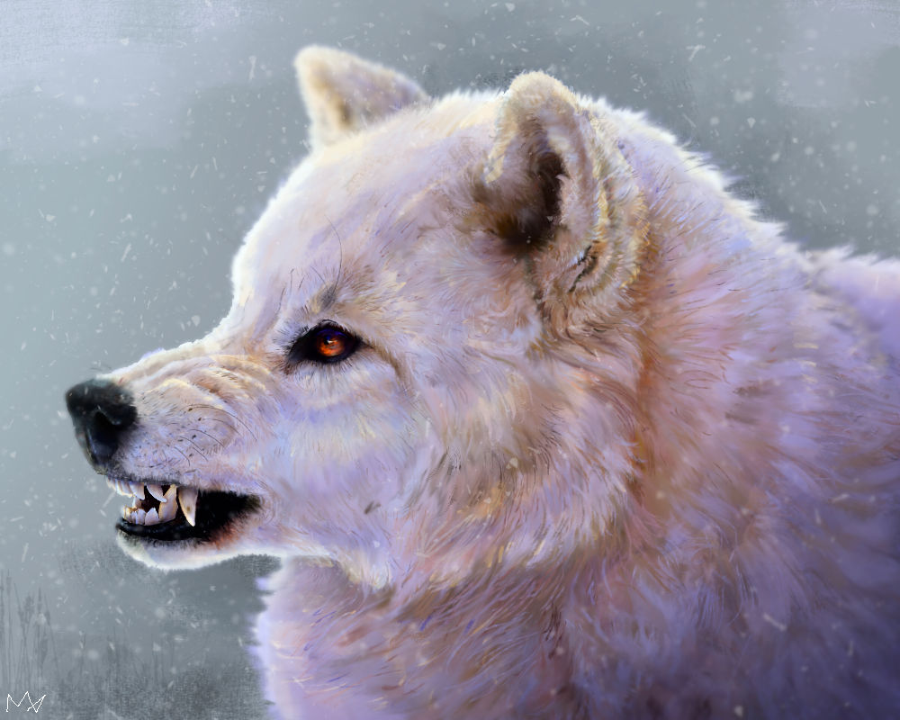 Angry Wolf by Okardare on DeviantArt