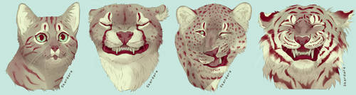 Silly faces (felines)