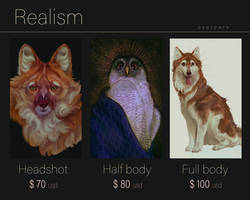 Commission sheet (2025)