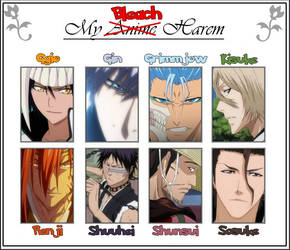 My Bleach Harem