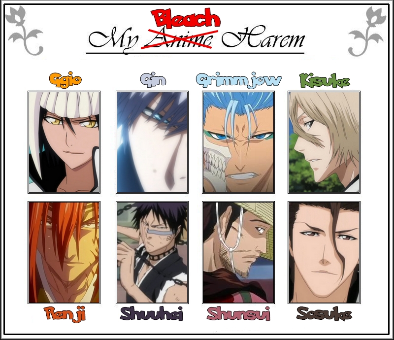 My Bleach Harem