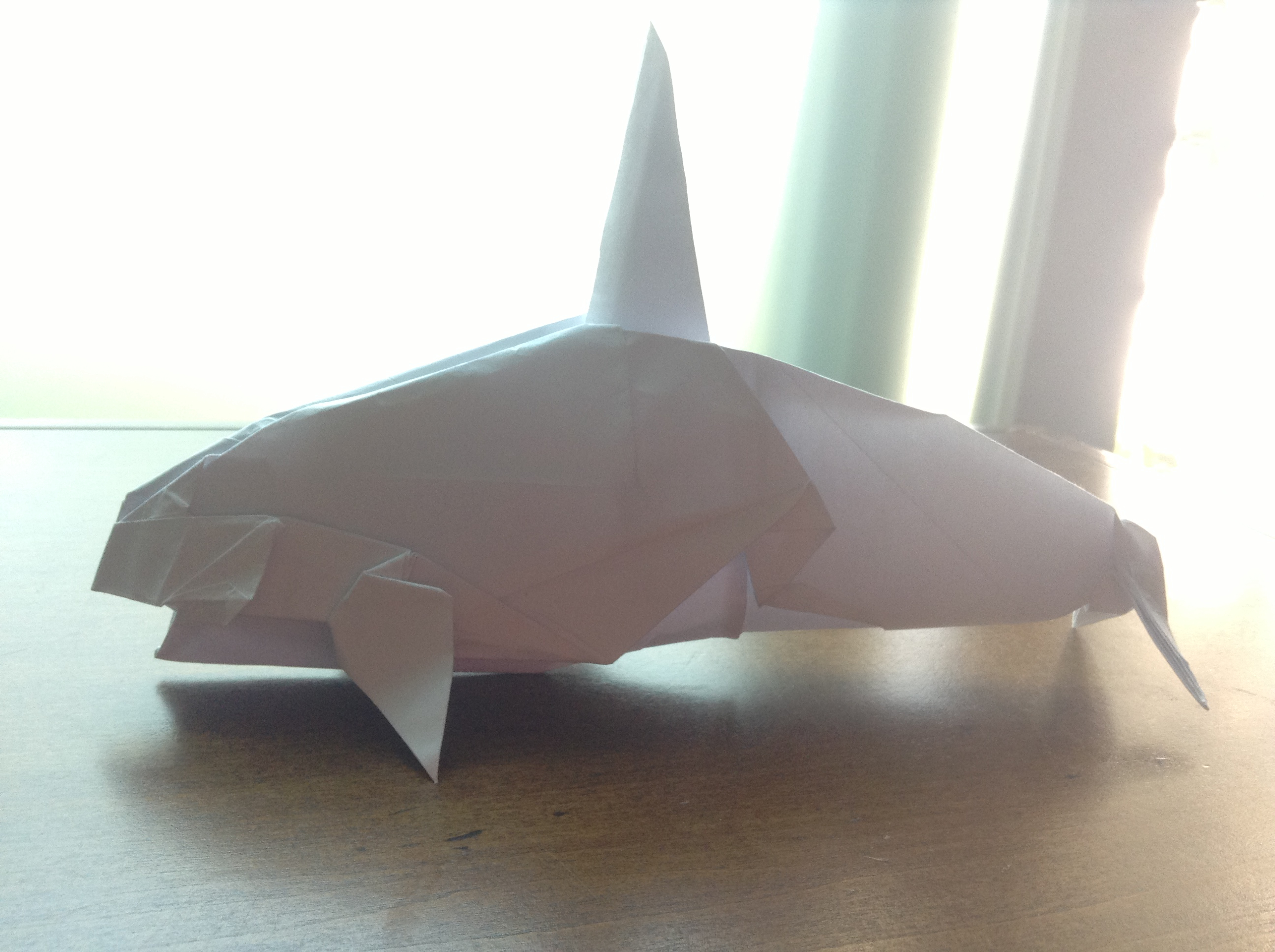 Orca (test fold)