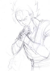 Vegetto Sketch