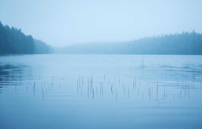 The Twig Lake by IdaBarracuda The Twig Lake by IdaBarracuda