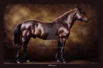 Equine Legacy: Hofding 170