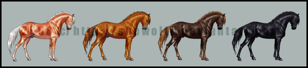 Preview - horse color chart