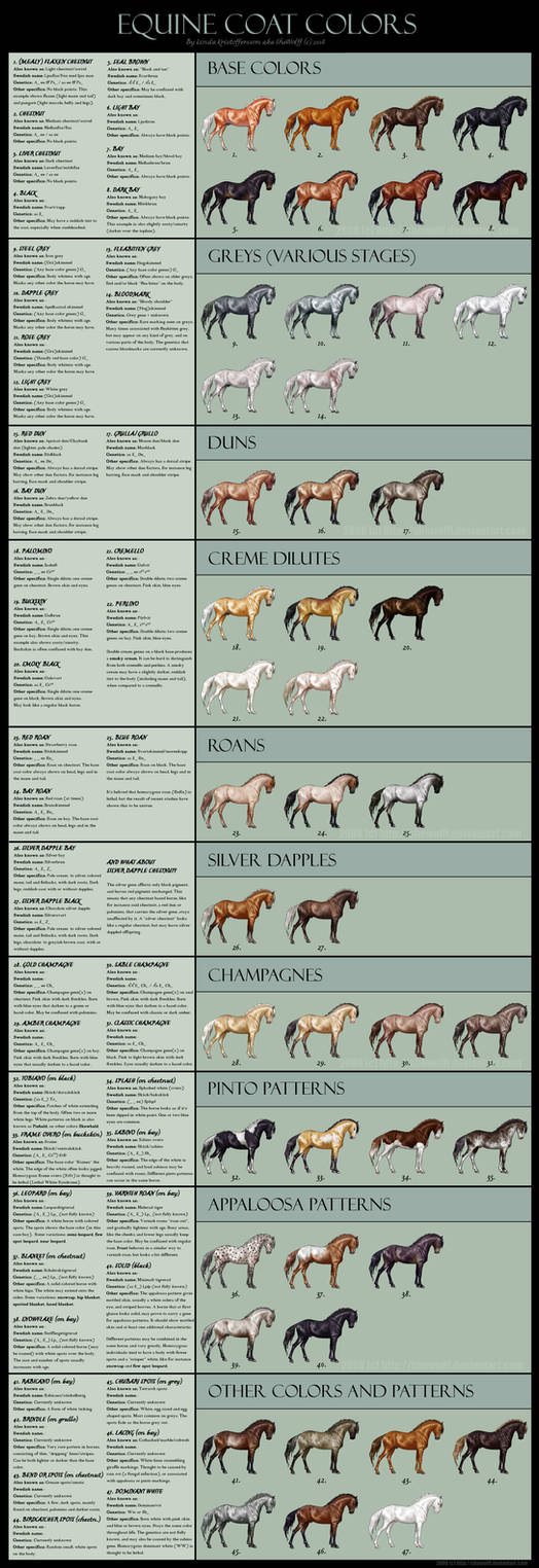 Equine coat colors by SheWolff