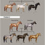 Equine Coat Color Quiz v.2