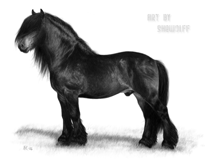 North Swedish Drafthorse