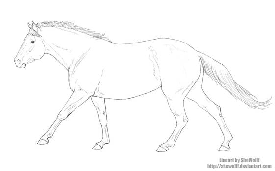 Stock Horse - Lineart