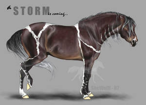 Equine character - Storm