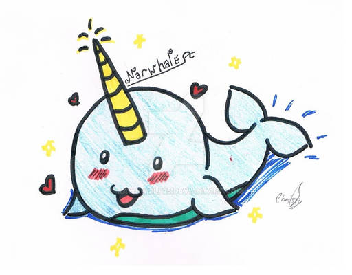 Narwhal!