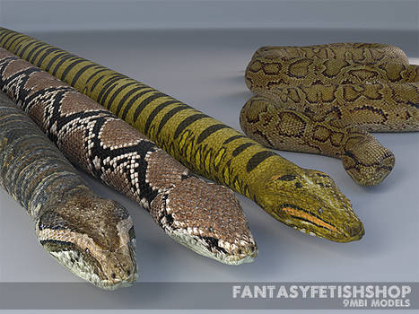 Snake Anaconda Python Flavors