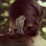 A Flower In Your Hair by CameraDude