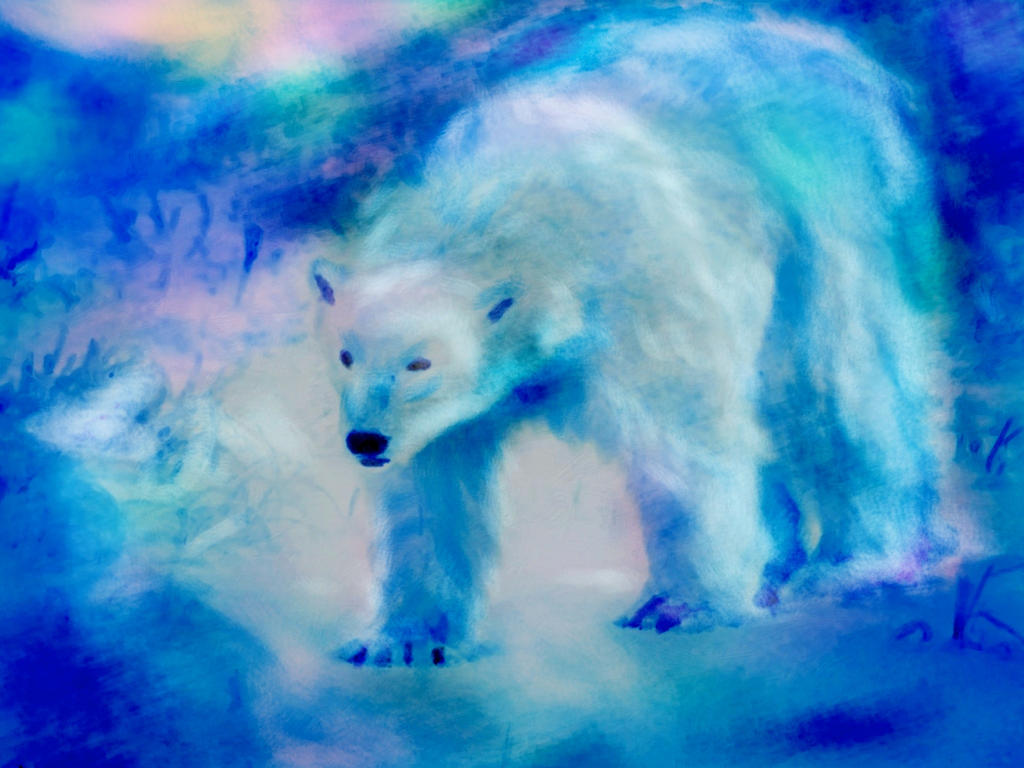 Aurora Bear