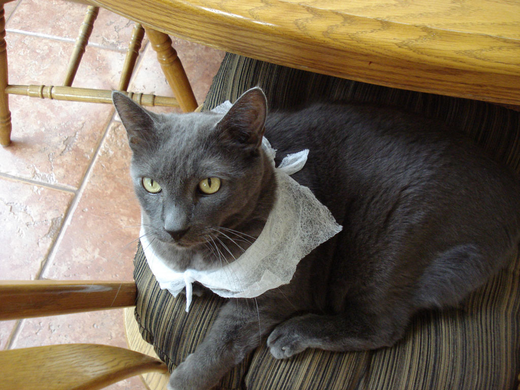 Can I has Dryer Sheet Scarf