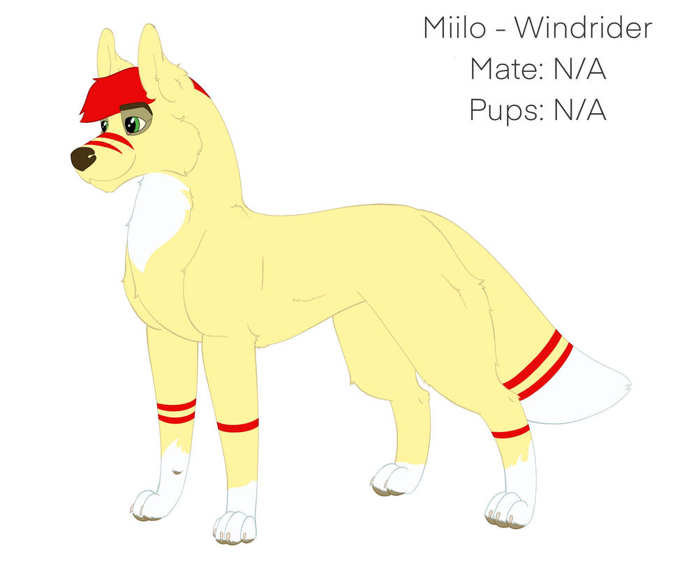 Miilo Miilo Reference Sheet by FernStudios96 on DeviantArt
