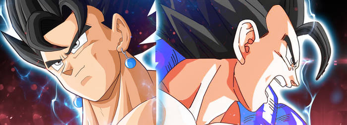 Gogeta And Vegito