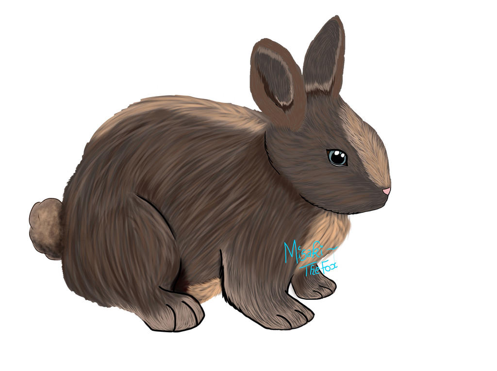Deviantart Mini Rabbit Rabbits by Misaki-TheFox on DeviantArt