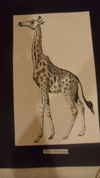 Giraffe Drawing