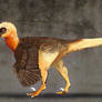 Dakotaraptor