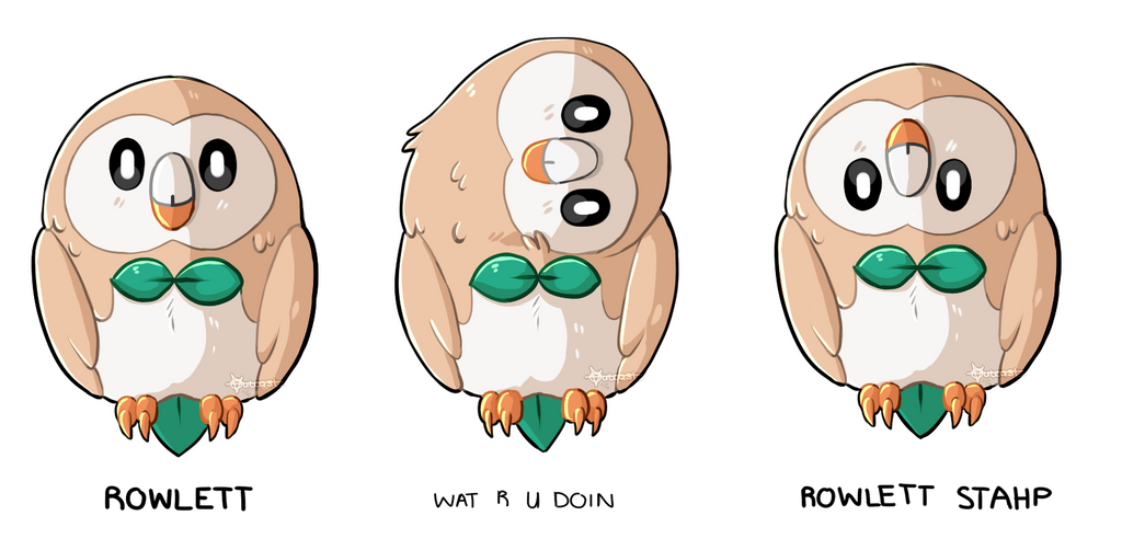 Rowlet Fighting Rowlett Plz by TheOutcastOfTheNight on DeviantArt