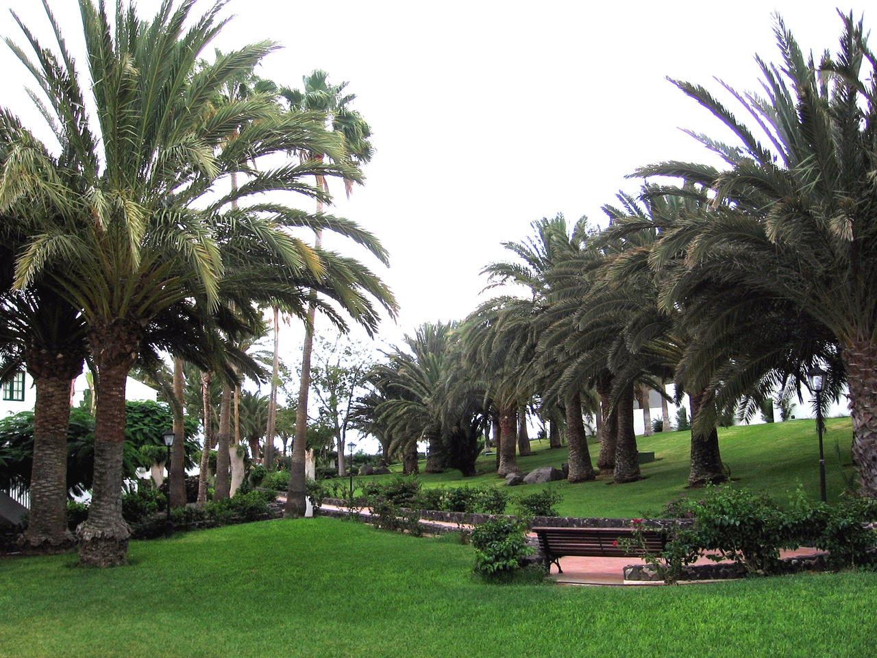 Lanzarote 2009 Hotel's garden