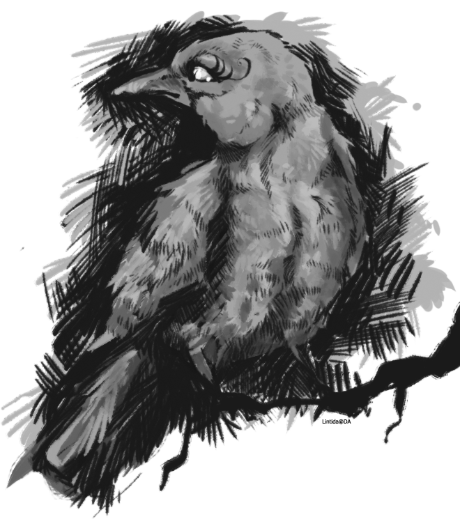 Night - Grayscale Bird