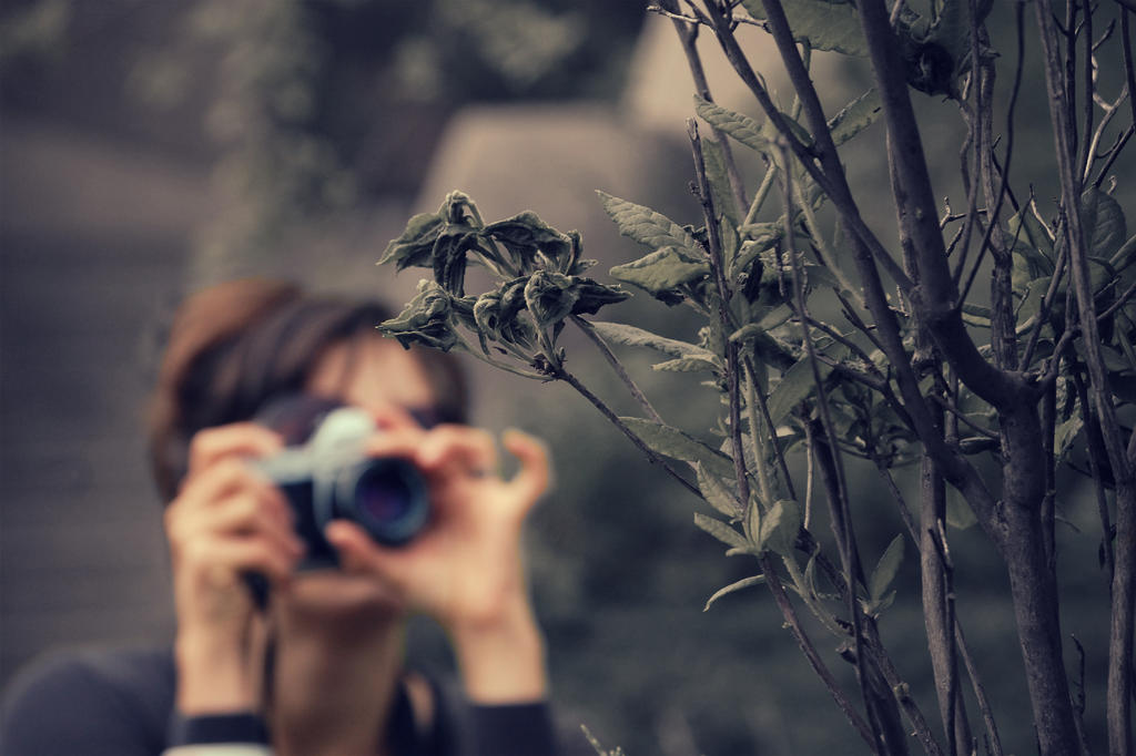 Frame and Focus by MusicIsEverything16 Frame and Focus by MusicIsEverything16