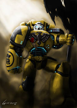 Imperial Fist