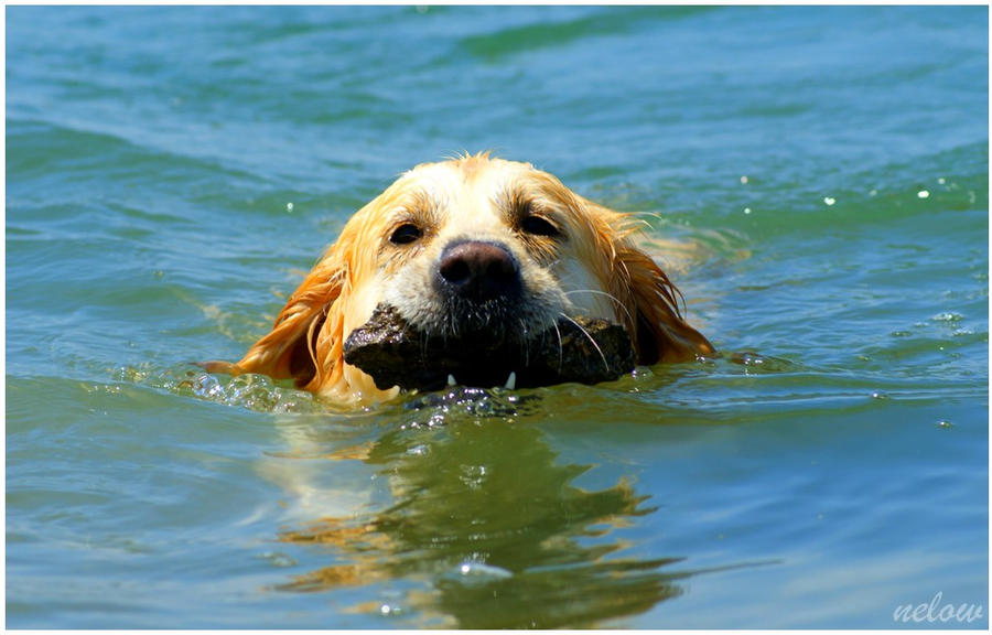 Bathing.