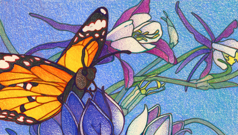 Deviantart Compostfly Butterfly by Cushfuddled on DeviantArt