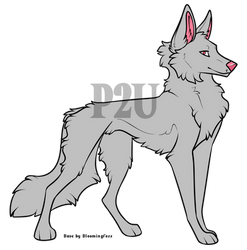 P2U Belgian Tervuren Base