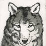 Metalgraphic: Wolf