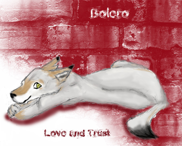 Love and Trust: Bolero