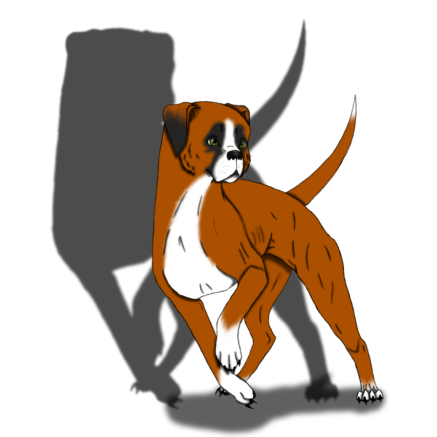 Deviantart Boxer Dog Boxer by xxdevilchildxx28 on DeviantArt