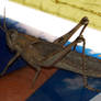 giant grasshopper
