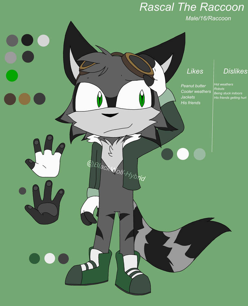 Rascal (ref remake) by BlackWolfHybrid on DeviantArt
