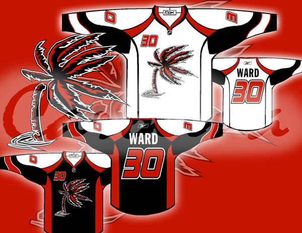 Carolina Hurricanes Concept