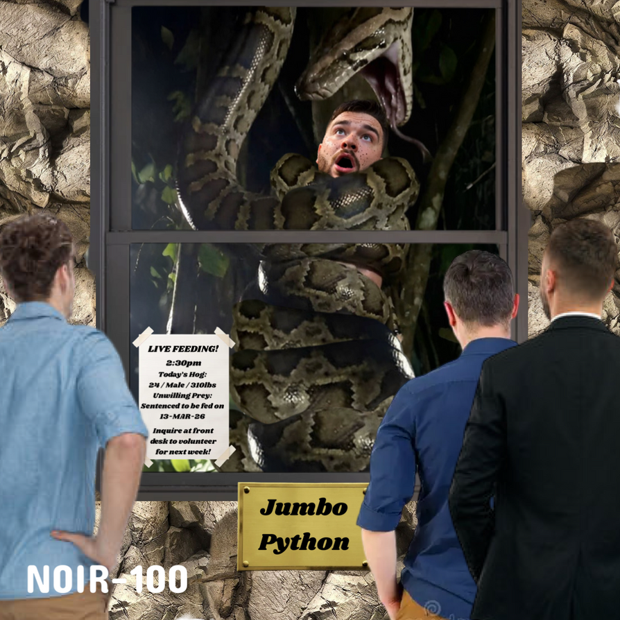 Python Constriction Deviantart Realistic Prisoner Fed to Python by Noir-100 on DeviantArt