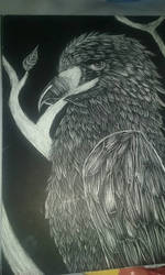 Scratch Board Bird