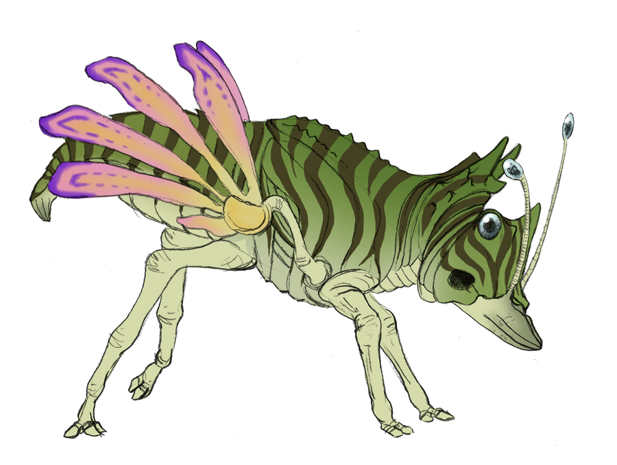 Unnamed Species