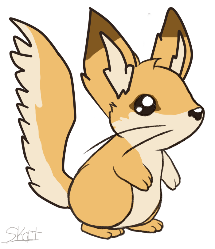 Fennec Fur